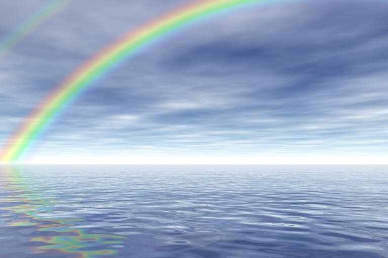 The Rainbow Connection