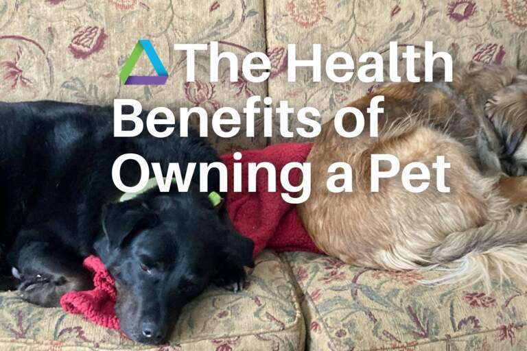 Happy "Love Your Pet Day"!