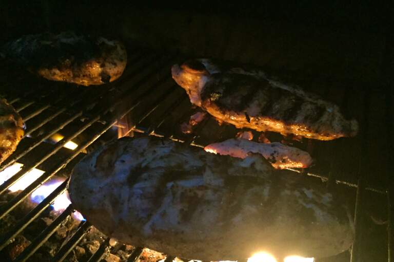 Grilled Chicken Breasts