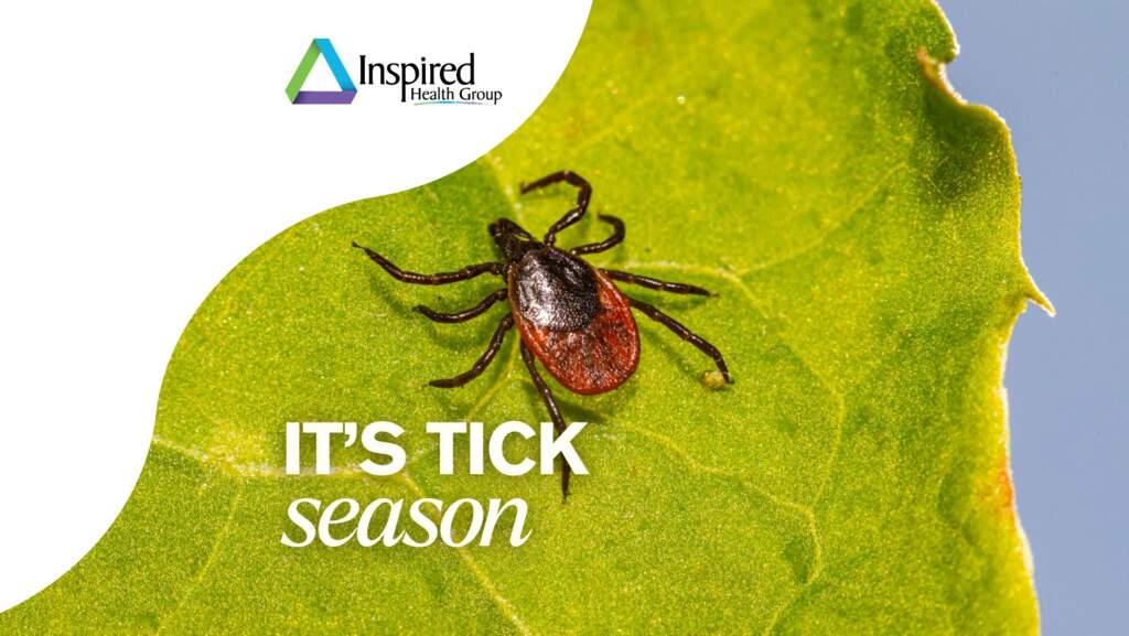How to Remove a Tick