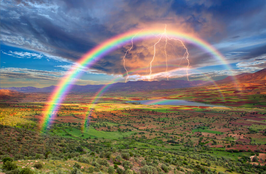 Living in Harmony with God’s Creative Order: Part 1