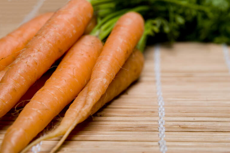 Nutrition Philosophy